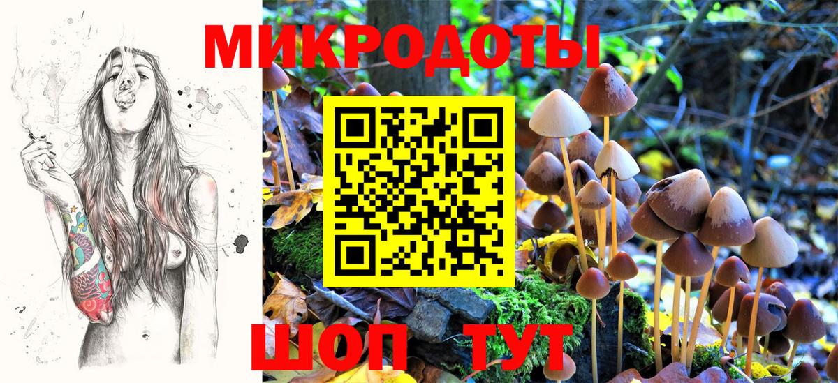 Мелеуз  Галлюциногенные грибы GOLDEN TEACHER  Вход с VPN 